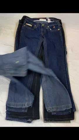 Branded Y2K Flared Jeans – Baby Phat & More (GRV-10-206)